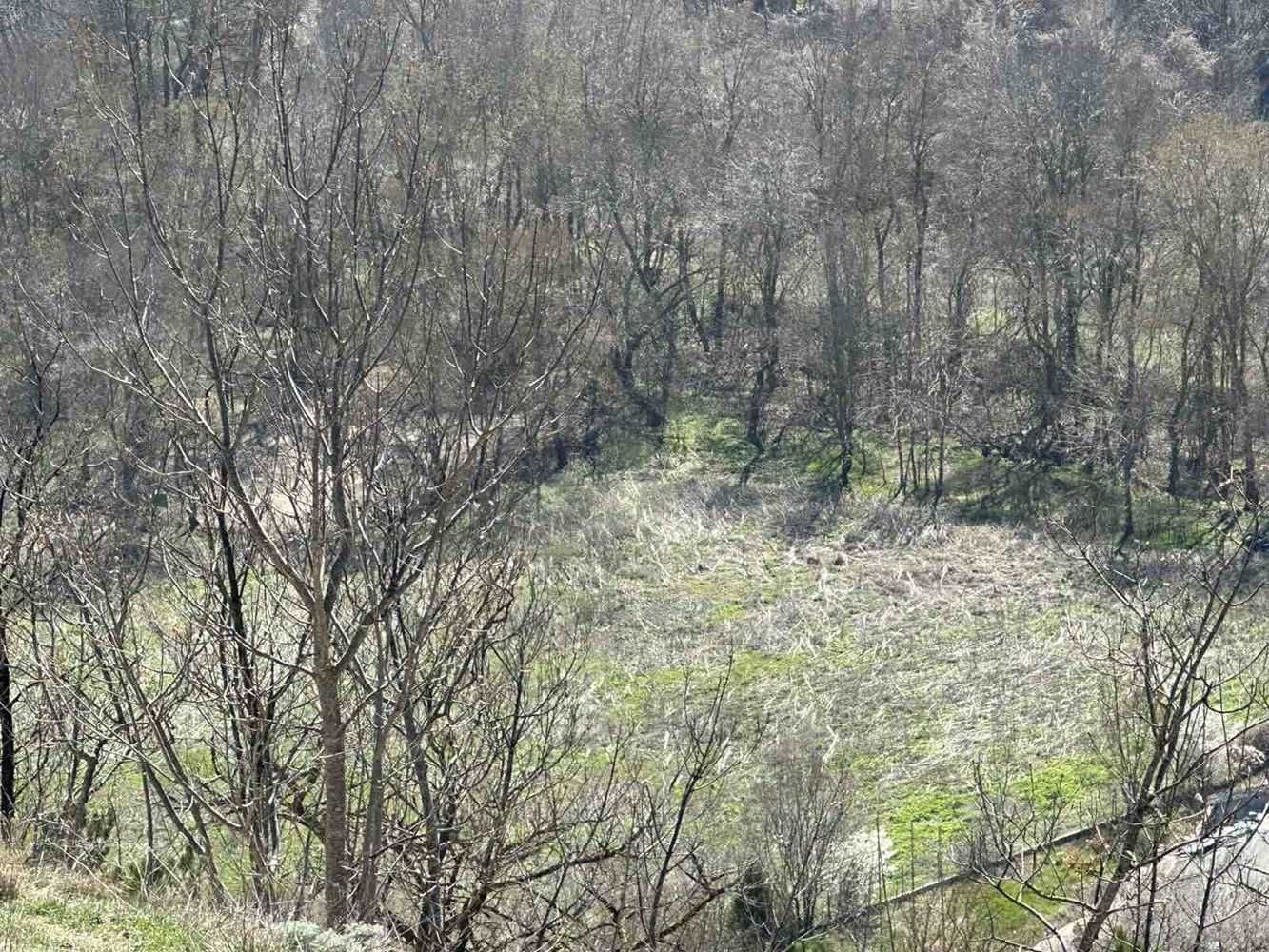 Парцел с Брутална Гледка До Минералната Вода ТОП ИМОТ