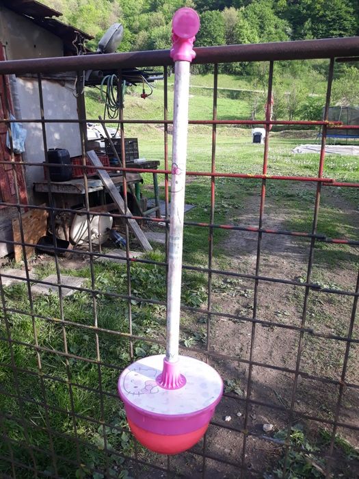 Minge săltăreață noriel