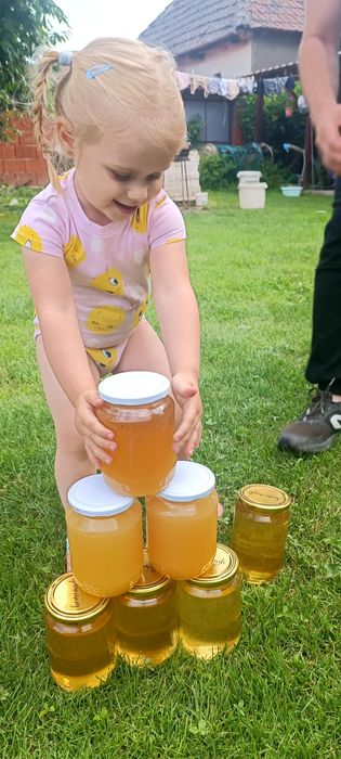 Miere de salcam / rapiță / poliflora