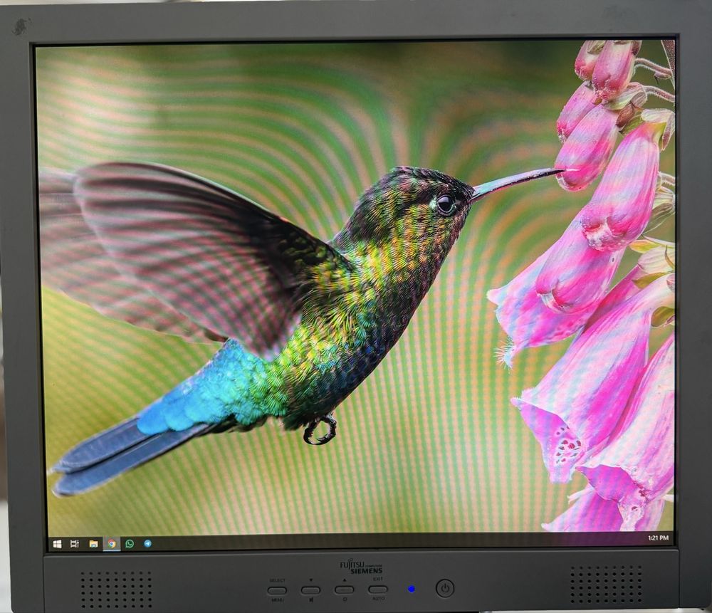 Монитор Fujitsu Siemens C19-1