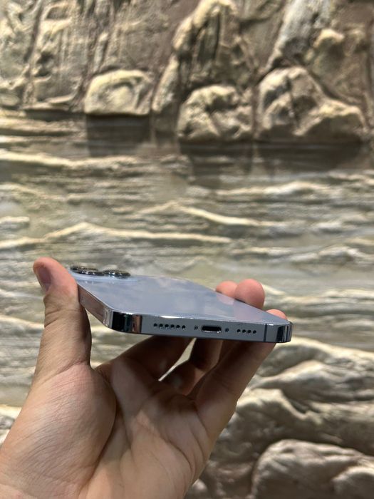 Iphone 13 Pro Max 256 Gb