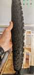 Amvelope bicicleta CST 26