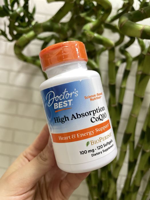 High absorption CoQ10