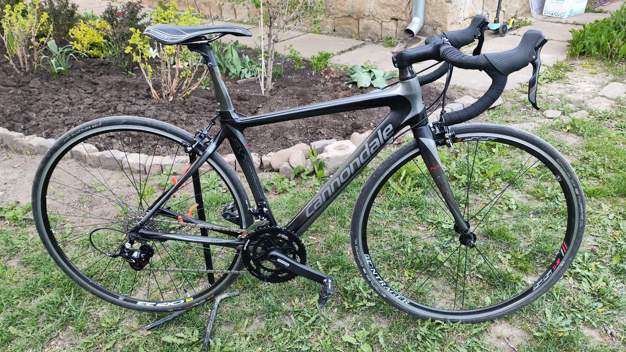 Cursiera Cannondale Synapse carbon