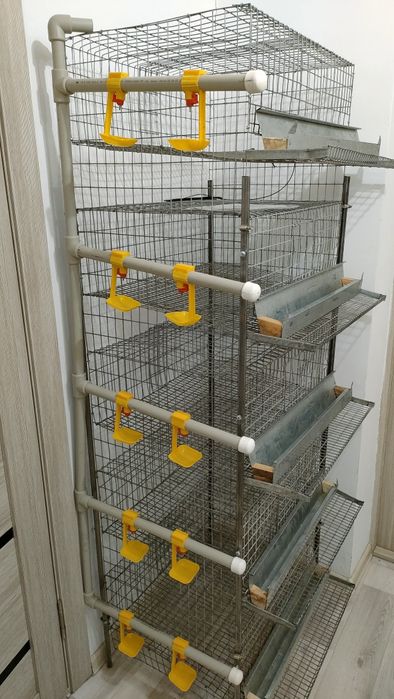 Сетка для перепелки