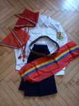 Accesorii pionier