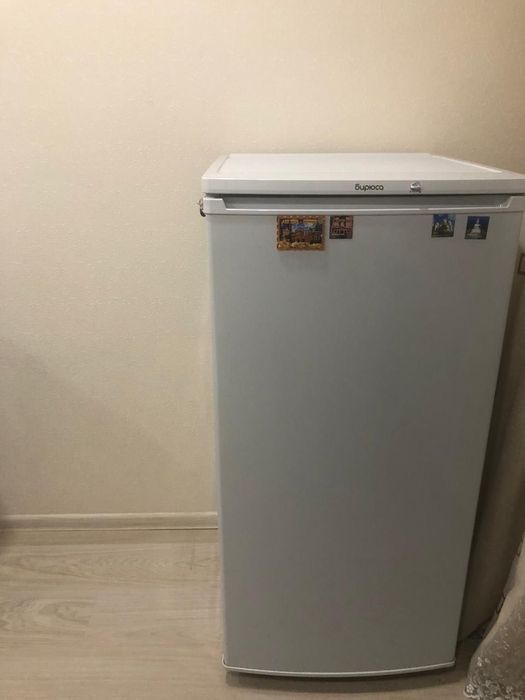 Холодильник Бирюса