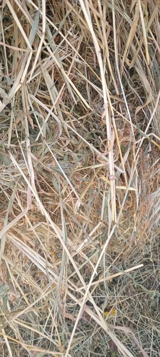 Vând fân amestecat cu lucerna