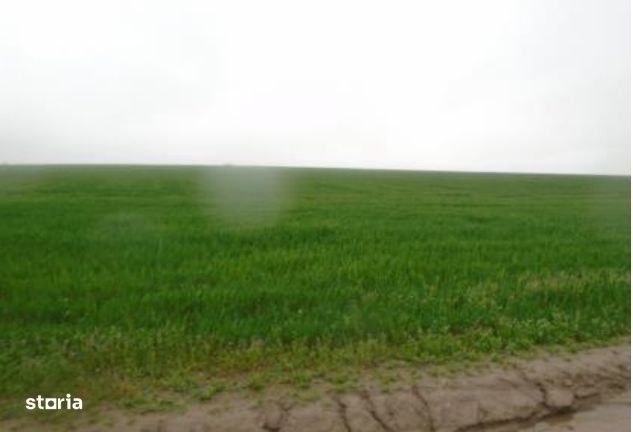 Cota de 1/24 din teren situat in Valea Mare, Jud Olt