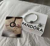 Гривна на Pandora