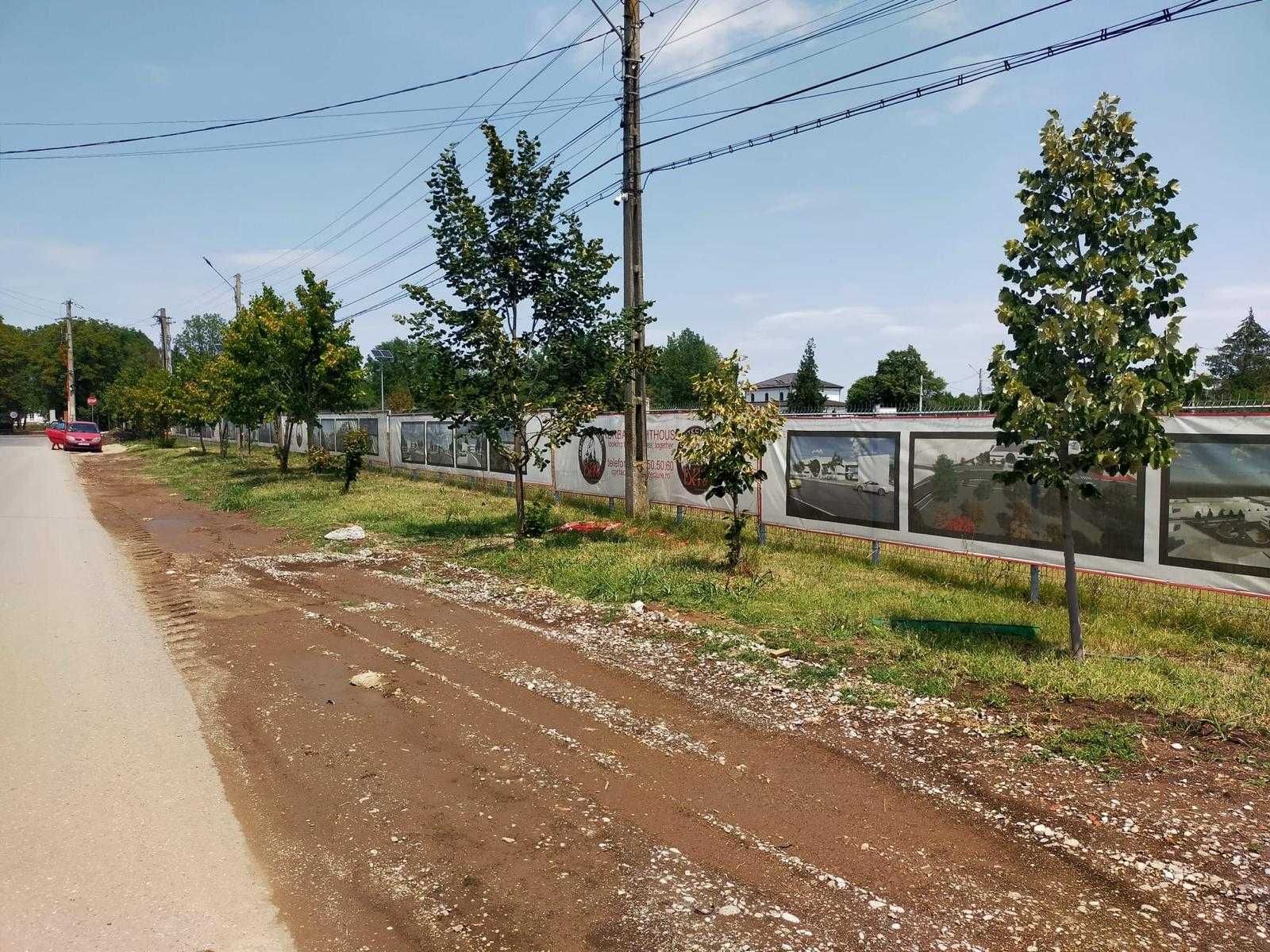 MOARA VLASIEI-ocazie/unic/comert-servicii/4045mp/desc 70 ml
