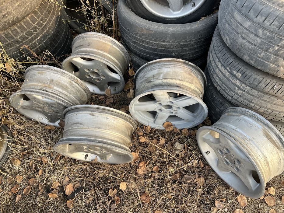 Диски черепахи и шнидзера