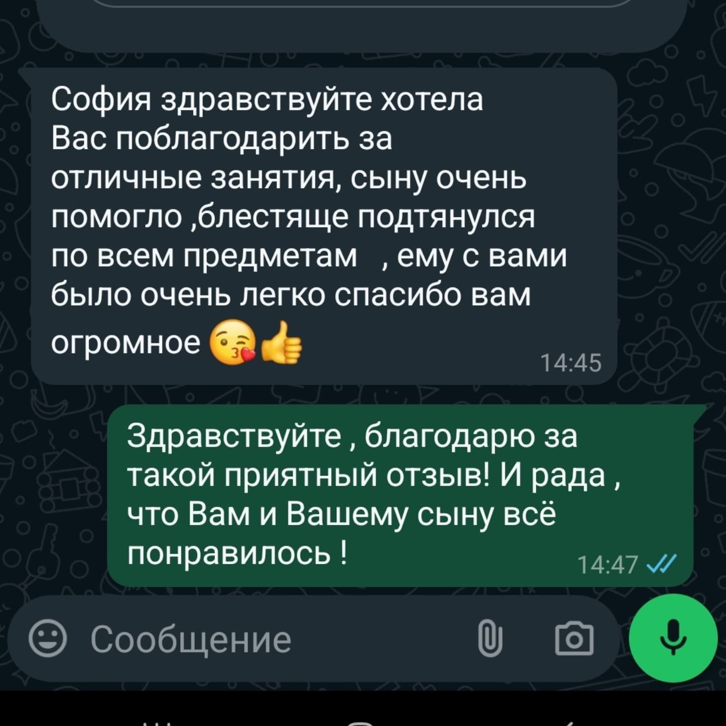 Репетитор  по химии