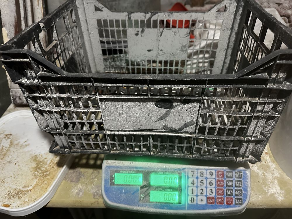 Vand gaste tinere au in jur de 3 si 5 kg