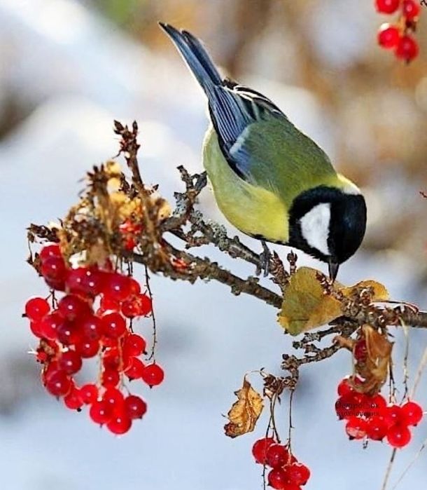Квартира жалға беріледі