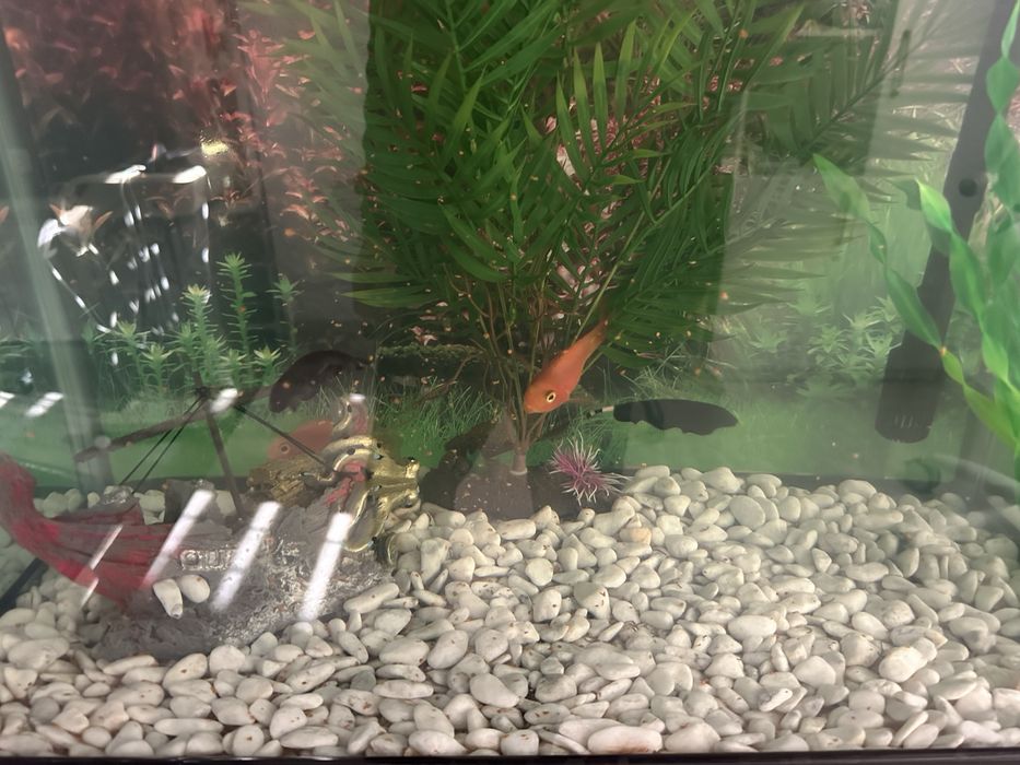 Продается аквариум