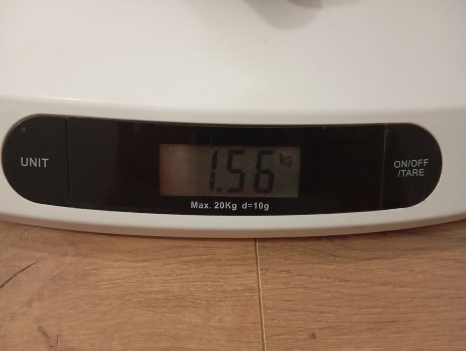 Cantar bebeluși și copii