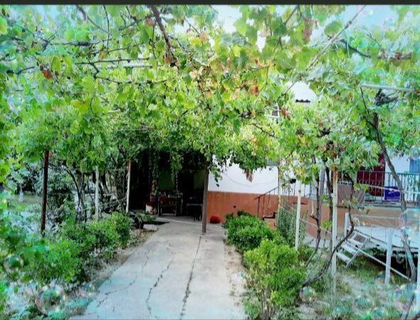 Dacha, дача аренда
