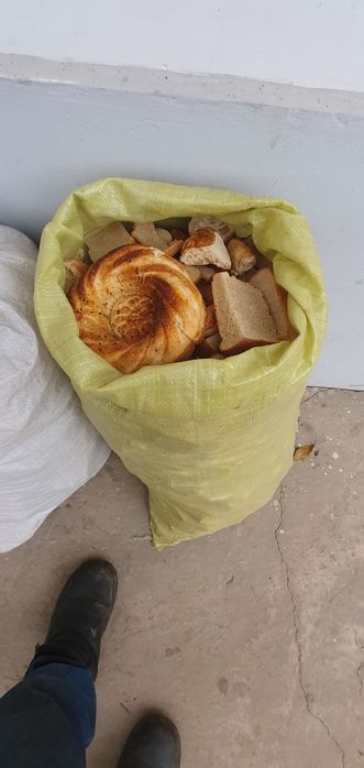 Qotgan non bor top toza