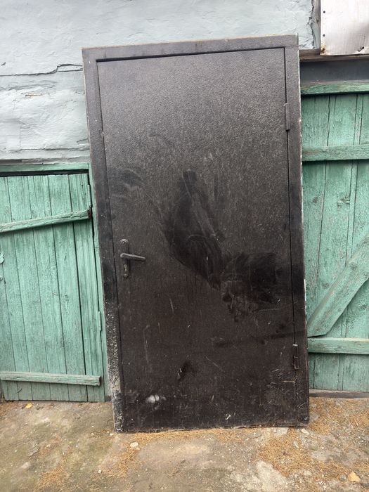 Железная входная дверь