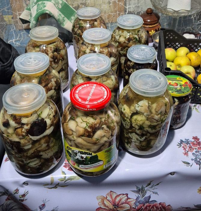 Солёные грибы, валуи