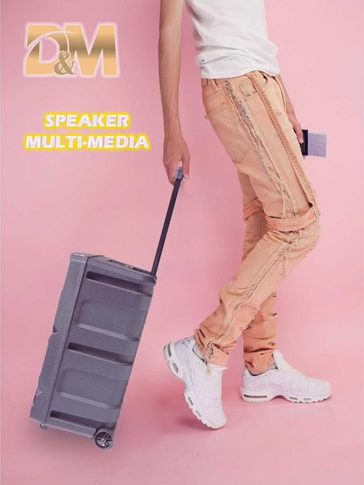 Преносима безжична колона ZQS-15112 (15″) Bluetooth, SD, USB, AUX 3.5