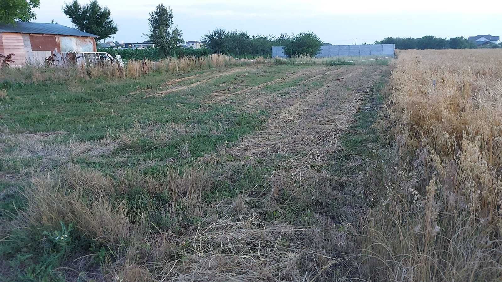 Teren Intravilan 708 m2 Comuna 1 Decembrie