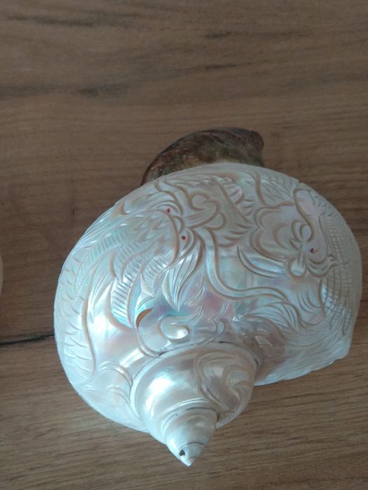 Продавам седефени рапани с ръчна резба върху тях