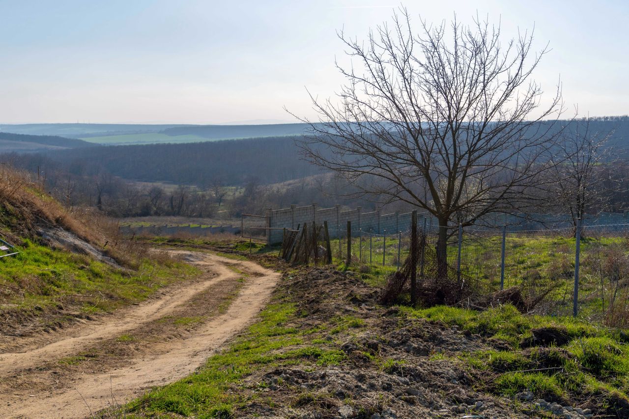 Продава се Парцел в с. Приселци, Област Варна - 2000 кв.м за 27 €/кв.м - Снимка #12