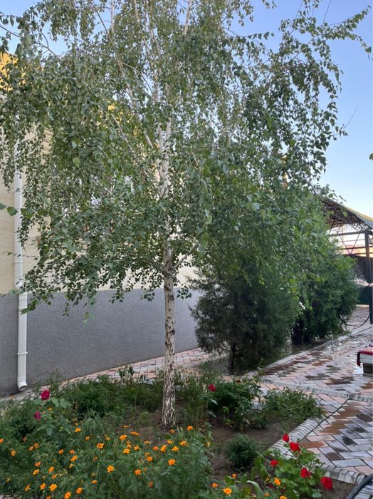 Гостевой дом