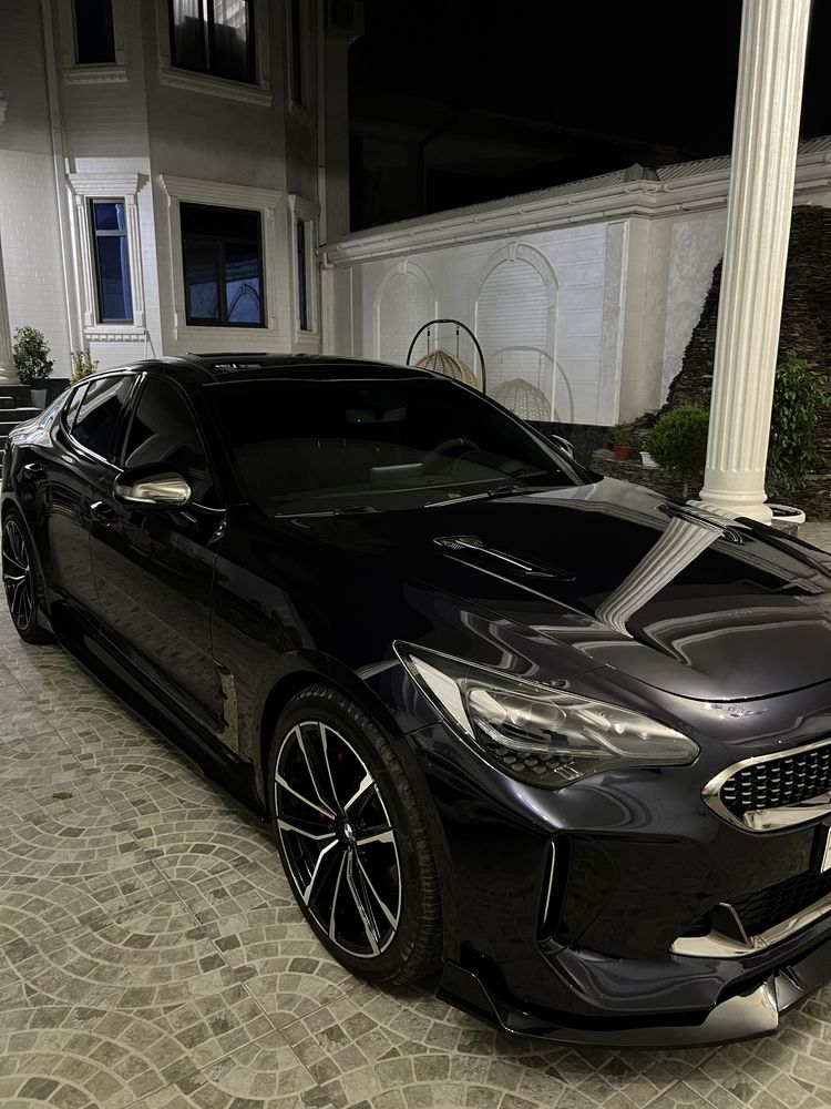 Kia Stinger gt full stage 2