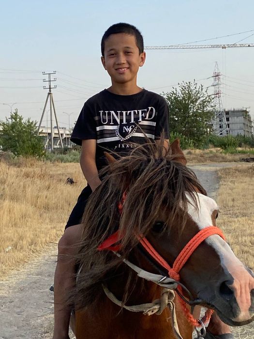 Poniy ot arab 8 yosh