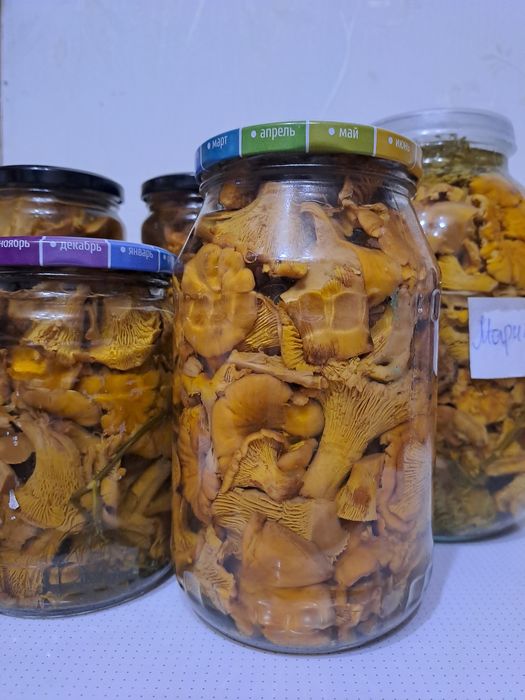 Продам лисички маринованные, сухие