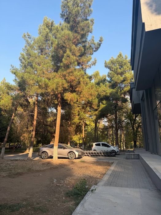 Ц 1 рядом метро , шикарное песто отдельно стоящее здание