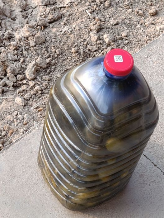 Bodiring bakalshgada