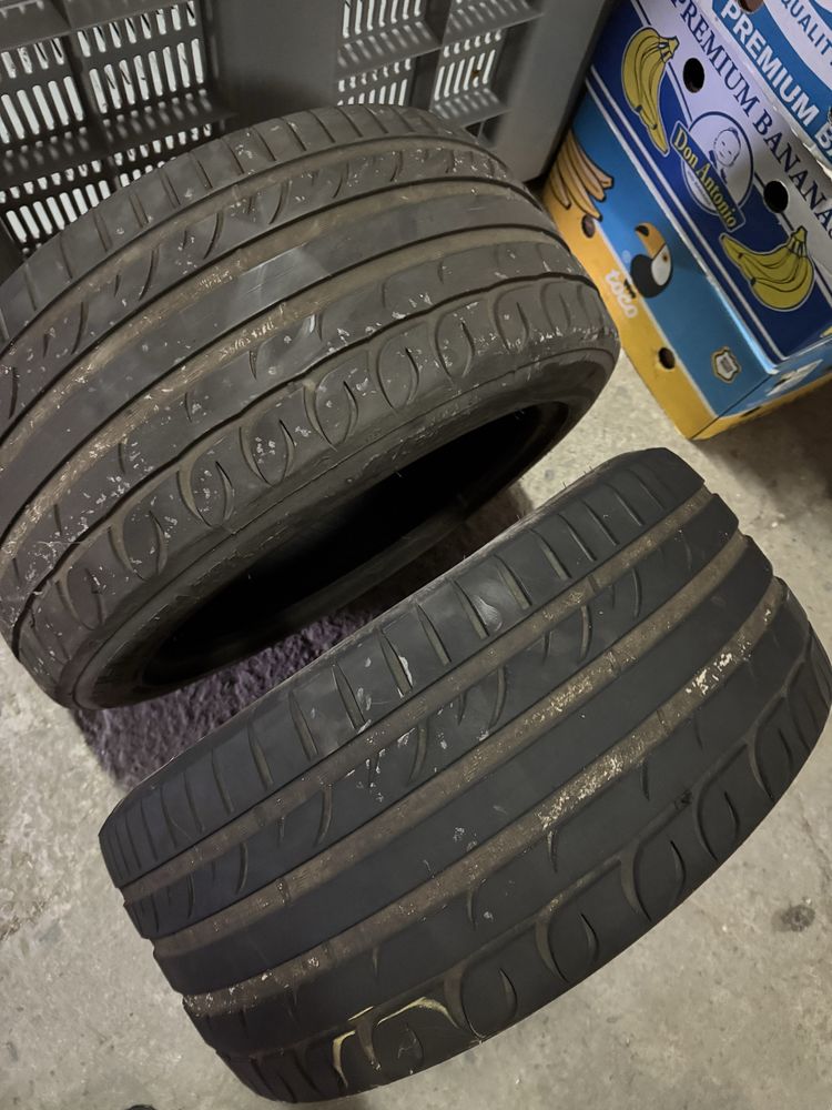 Гуми 255/40 R19 W221