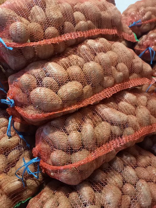 Cartofi consum rosu si alb