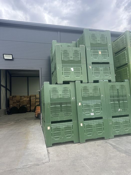 Boxpaleti plastic