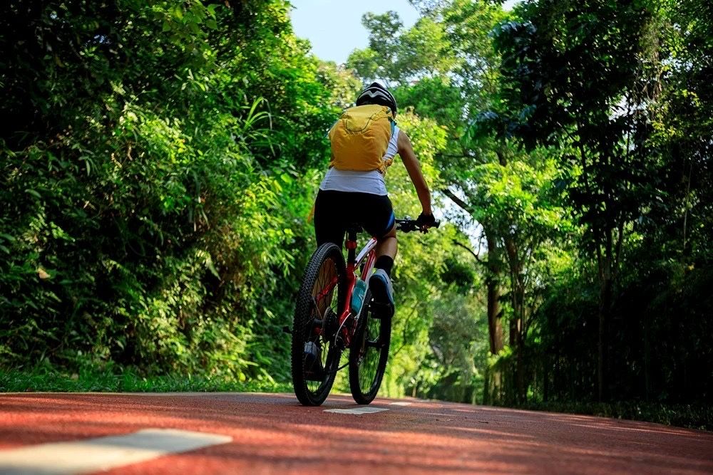 deschidere la DC3A, Mare potential de crestere valorica-INVESTITIE