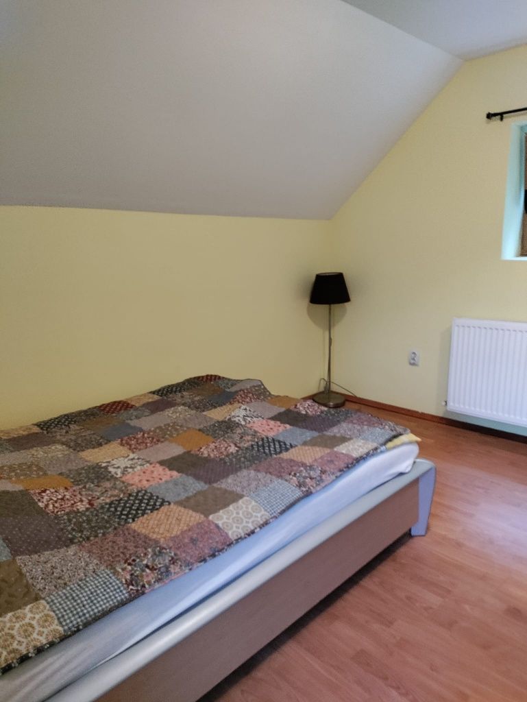 Cabana de închiriat la Coada Lacului Lesu, Bihor