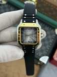 Cartier Santos Rubber Two Tone