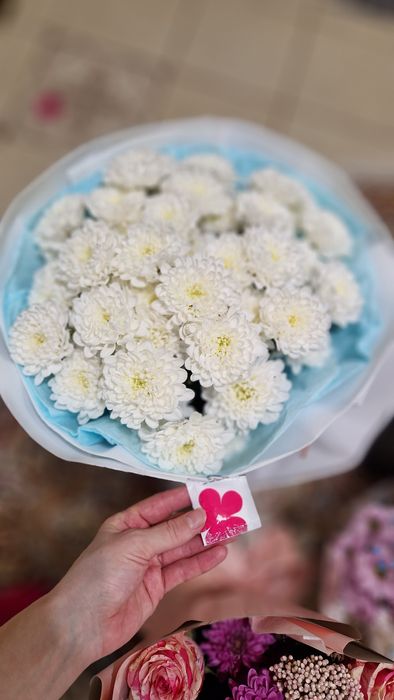 Цветы, арзан бағада