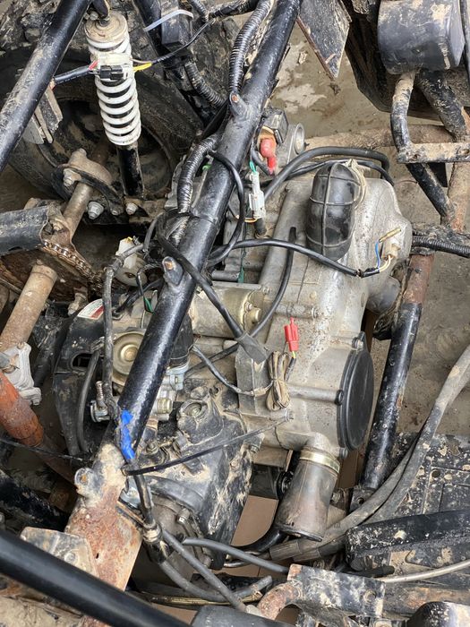 Repar cositori, motocositori …