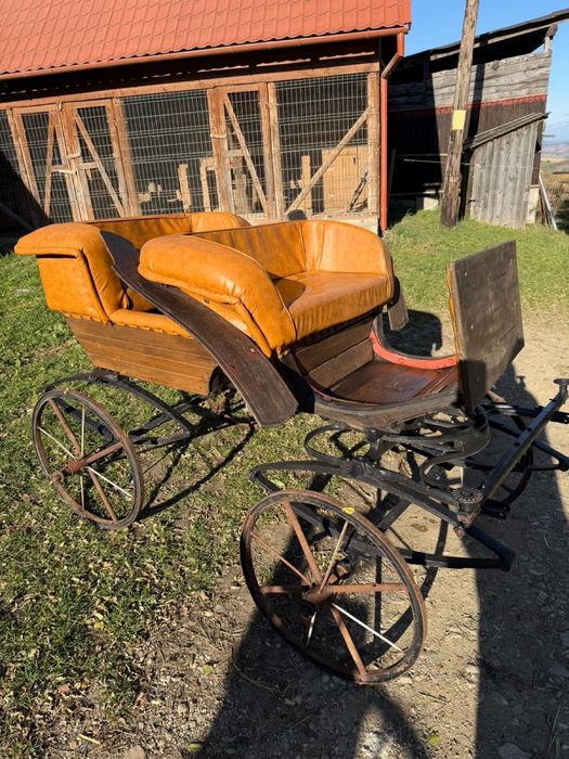 Trasura pentru un cal sau ponei