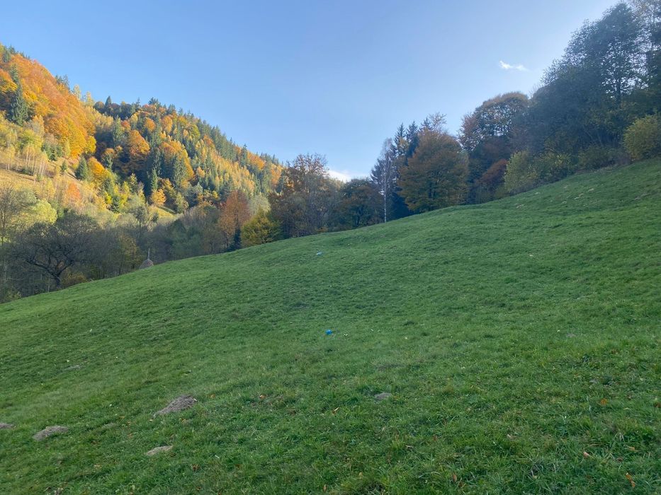 Teren în zona Moieciu de jos