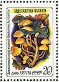 Марки почтовые Флора Ядовитые Грибы СССР 1986 год. MNH