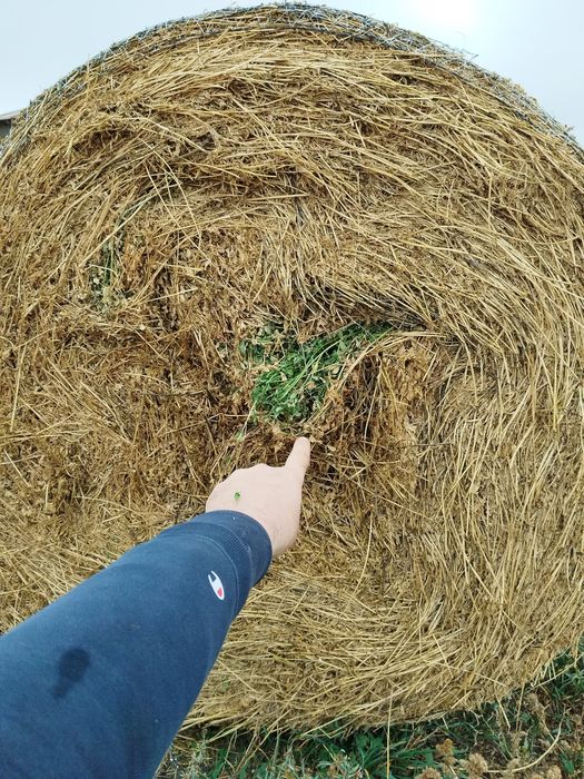 Vand baloti de lucerna