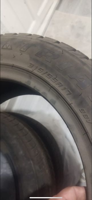 Продам шины triangle