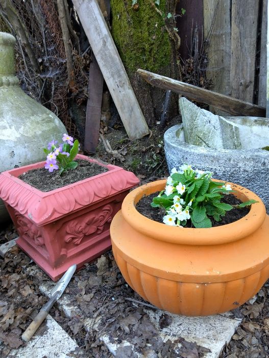 Делви кашпи за градина