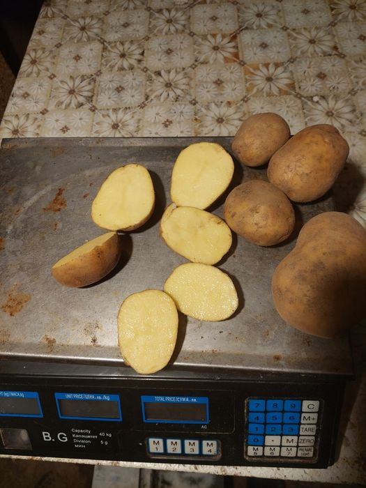 Картофи за консумация